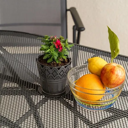 Duxperience * Дубровник